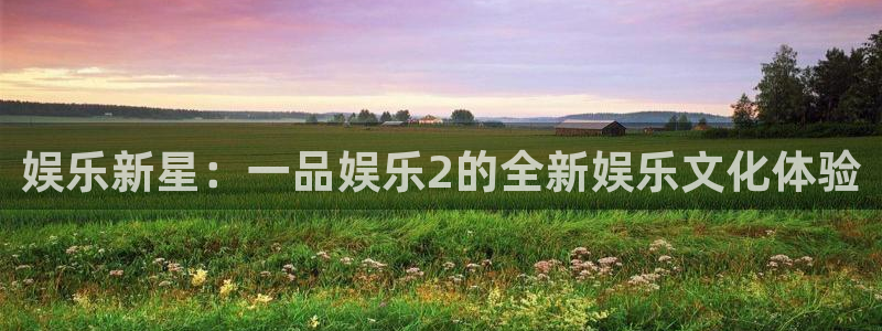 AB娱乐：娱乐新星：一品娱乐2的全新娱乐文化体验