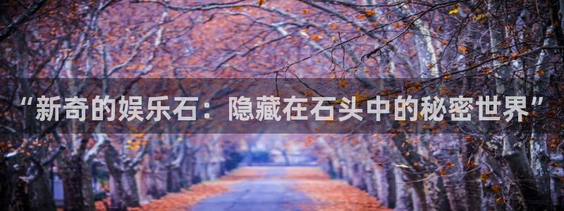 AB娱乐：“新奇的娱乐石：隐藏在石头中的秘密世界”