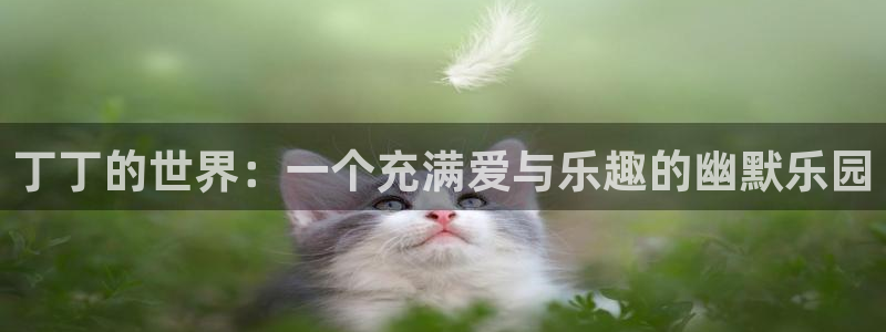 AB娱乐：丁丁的世界：一个充满爱与乐趣的幽默乐园