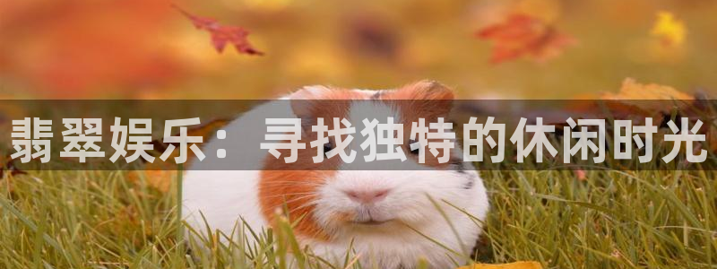 AB娱乐：翡翠娱乐：寻找独特的休闲时光