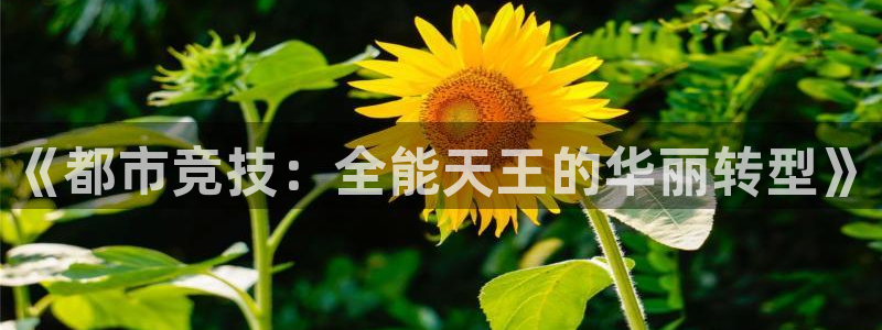AB娱乐：《都市竞技：全能天王的华丽转型》