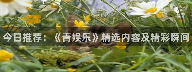 AB娱乐：今日推荐：《青娱乐》精选内容及精彩瞬间