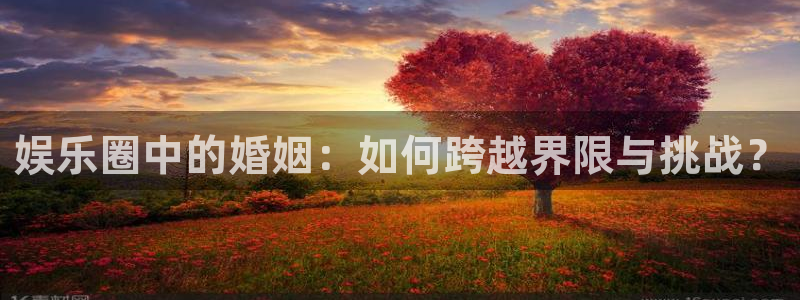 AB娱乐：娱乐圈中的婚姻：如何跨越界限与挑战？